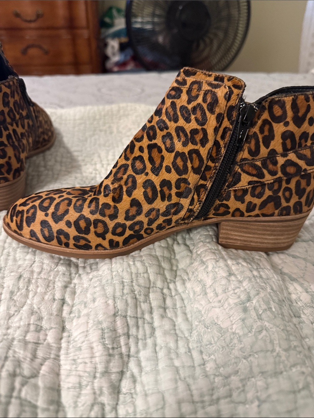 Gianni Bini Leopard Print Ankle Booties in Tan and Black
